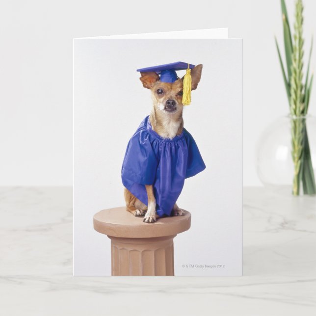 Carte Uniforme de port d'obtention du diplôme de chien (Devant)