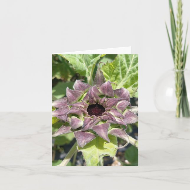 Carte unique de note de tournesol violet (Devant)