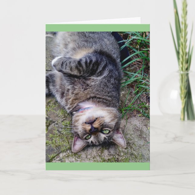 Carte Unité Funny Cat TENS (Devant)