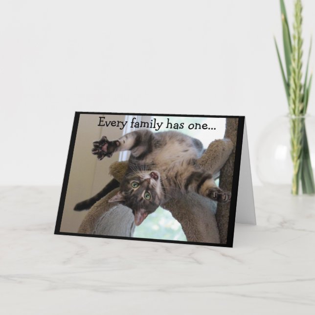 Carte Updown Crazy Cat (Devant)