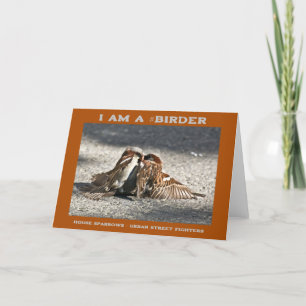 Carte Urbain Street Fighters House Sparrows Birder