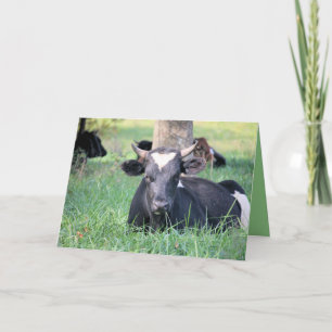 Carte Vache