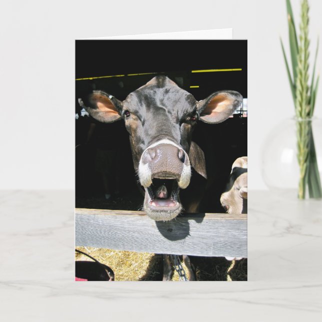 Carte Vache (Devant)