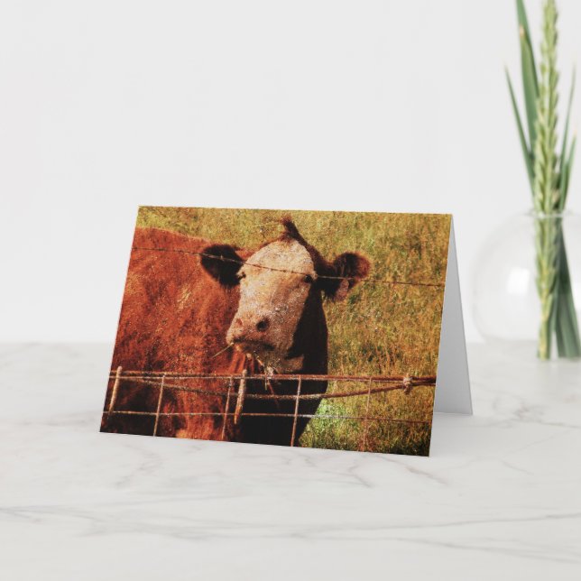 Carte Vache conviviale, Fête des pères (Devant)