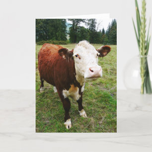 Carte Vache de boeuf à facettes blanches