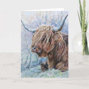 Carte Vache des Highlands, matin gelé