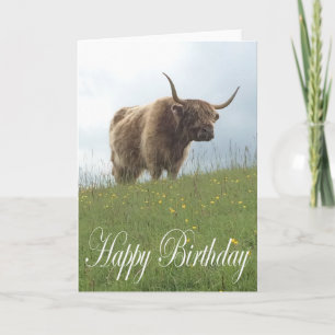 Carte Vache écossaise des Highlands