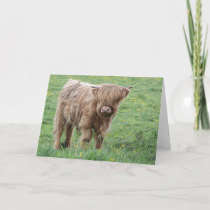 Carte Vache écossaise des Highlands