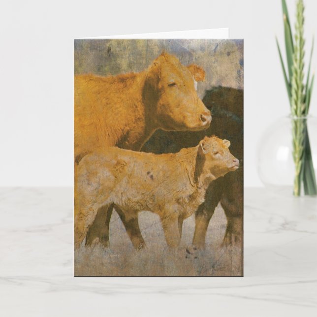 Carte Vache et veau (Devant)