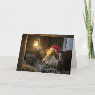 Carte Vache Hereford de Noël dans une grange