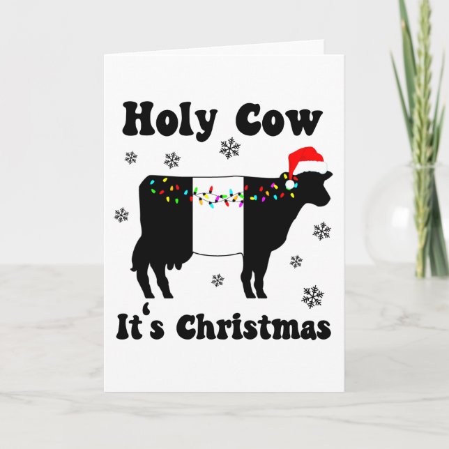 Carte Vache Sainte C'est Noël Belted Galloway Beltie Vac (Devant)
