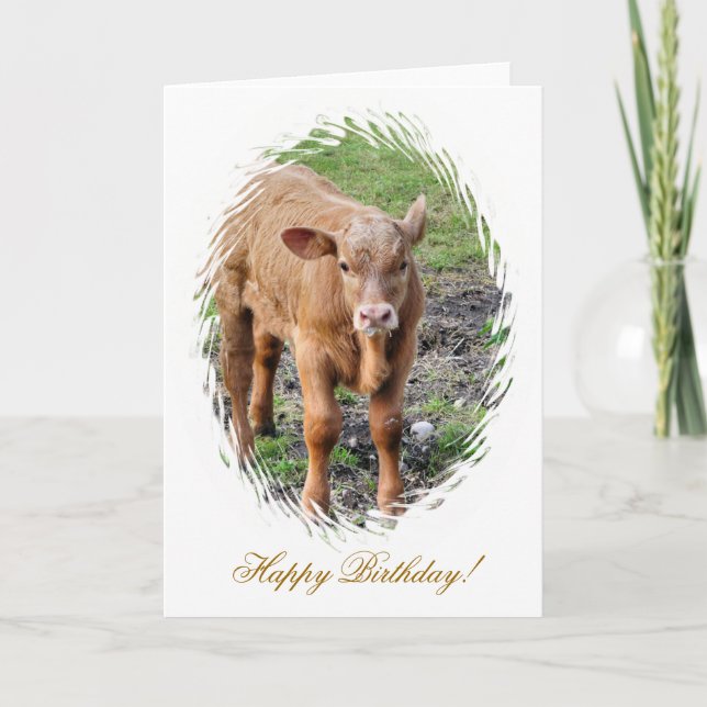 CARTE VACHES (Devant)