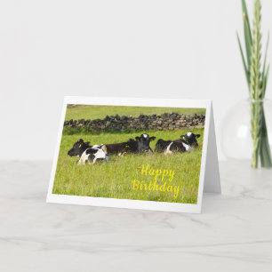 Carte Vaches d'été Anniversaire