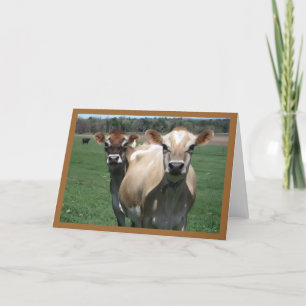 Carte Vaches du Jersey