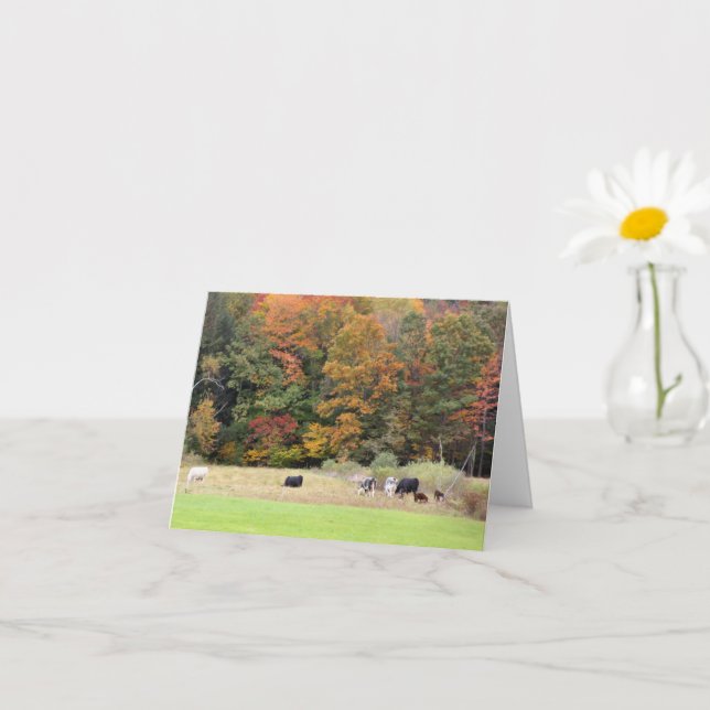 Carte Vaches En Champ Autumn Foliage Photographie Note (Petite plante)