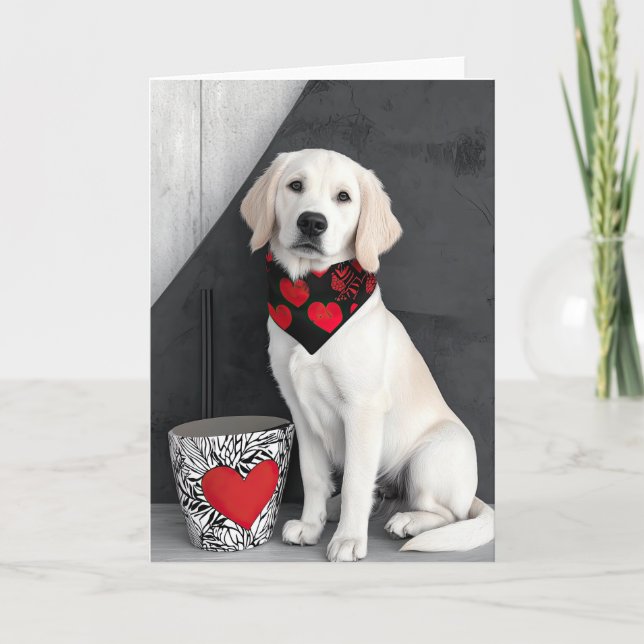 Carte Valentine Golden Retriever (Devant)