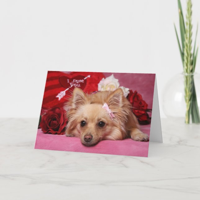 Carte Valentine Poméranie (Devant)