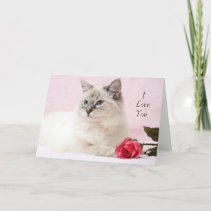 Carte Valentine Ragdoll