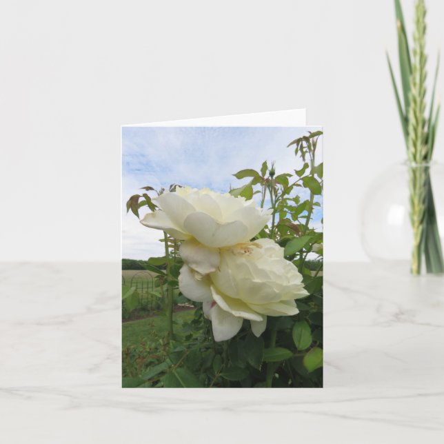 Carte Vanessa Bell Rose jaune, Verticale  (Devant)