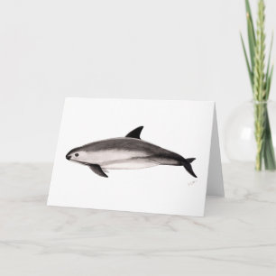 Carte Vaquita
