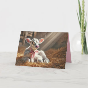 Carte Veau blanc dans un box de grange ensoleillé