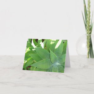 Carte Verdure v2