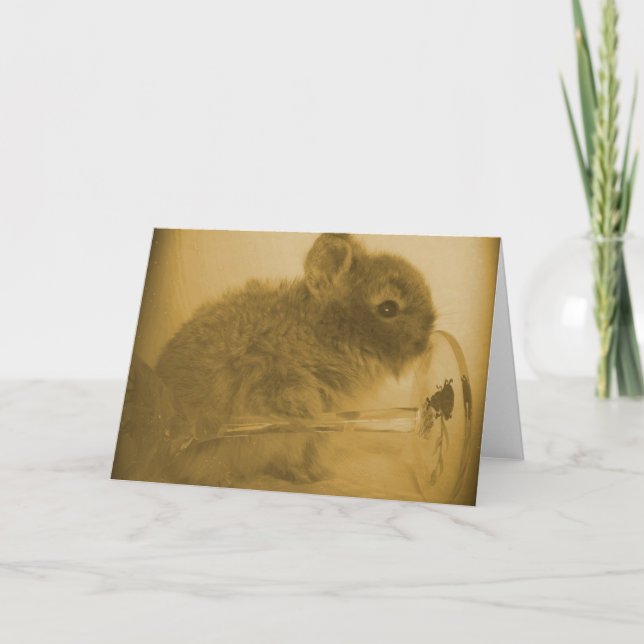 Carte Verre de lapin et de vin (Devant)