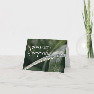 Carte Verso Photo Dewdrop avec la plus profonde sy