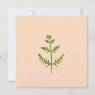 Carte vert de printemps