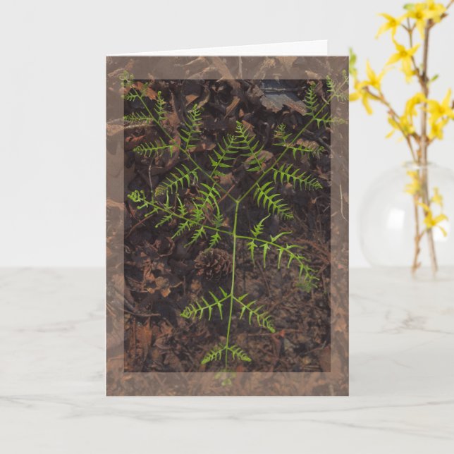 Carte vert de printemps  (Fleur jaune)