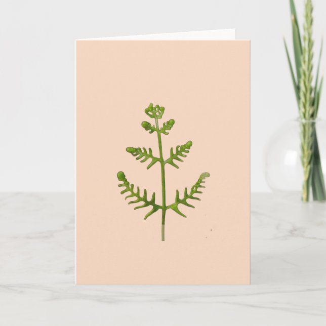 Carte vert printemps (Devant)