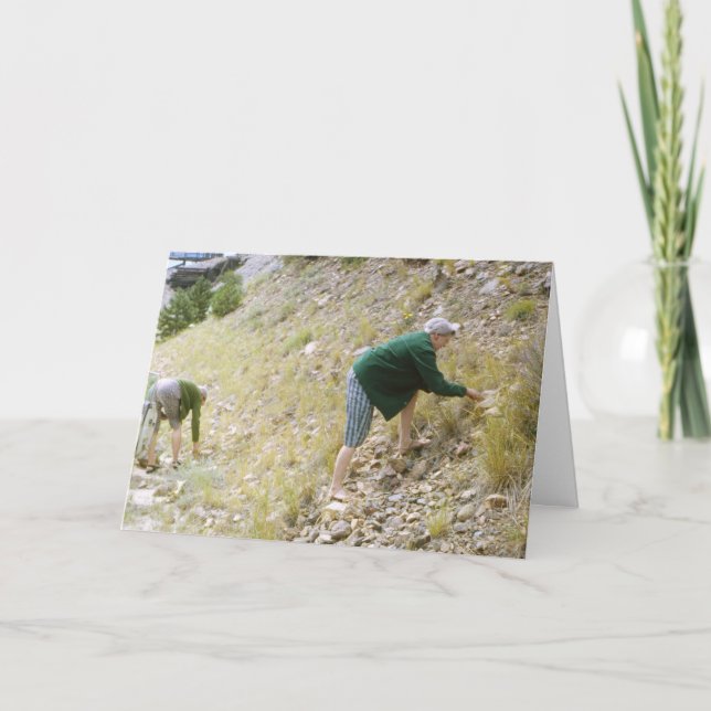 Carte verte (Devant)