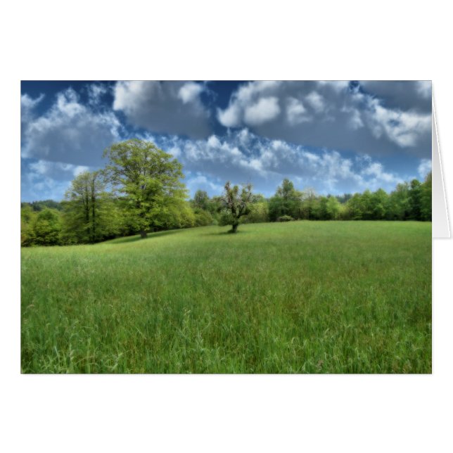 Carte verte Appalaches (Devant horizontal)