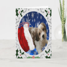 Carte verte, Christmas Dog