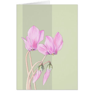 Carte verte Cyclamens roses