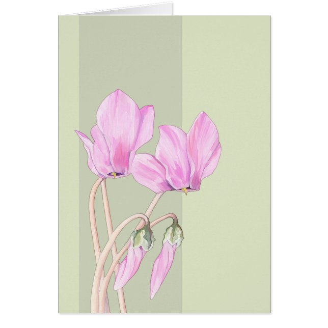 Carte verte Cyclamens roses (Devant)