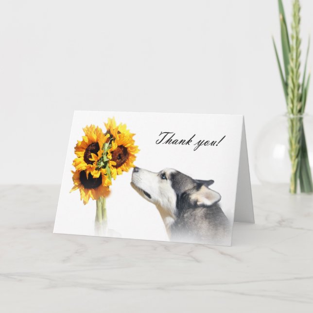 Carte Vétérinaire Merci avec Husky et Fleurs (Devant)