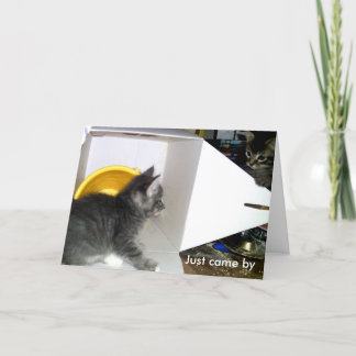 Carte "Viens de dire que je m'en fiche" Kitten Card