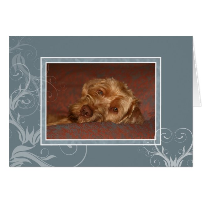 Carte vierge 005 de Vizsla de Hongrois (Devant horizontal)