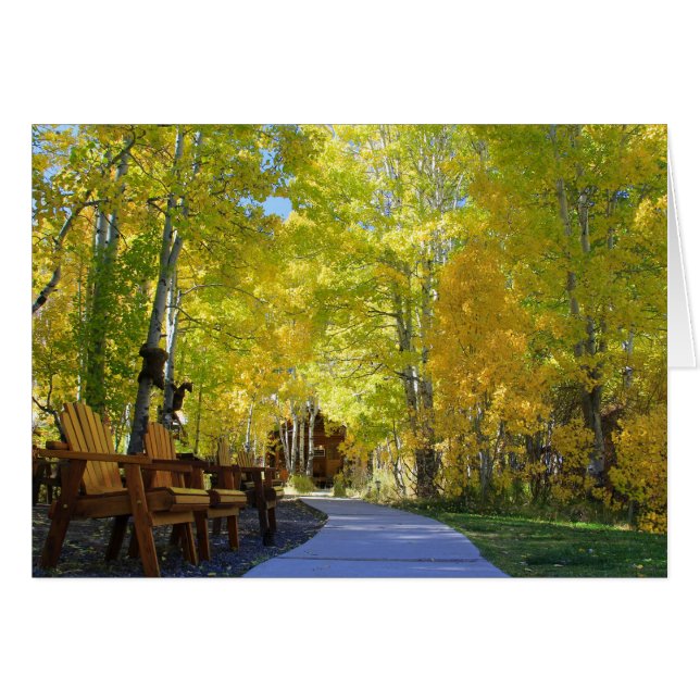 Carte vierge, Arbres en Aspen, Automne (Devant Horizontal)