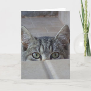 Carte vierge avec chaton peek-a-boo