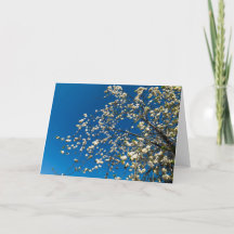 Carte vierge avec l'image de l'arbre en fleurs