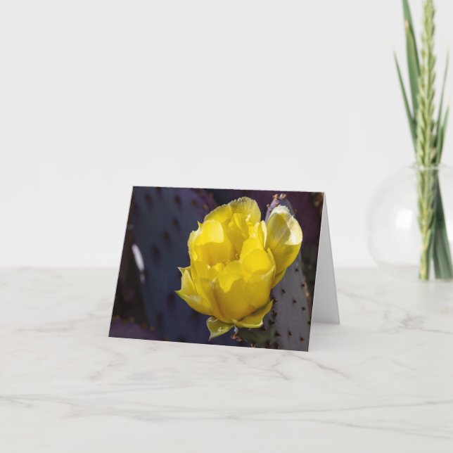 Carte vierge Cactus en fleurs (Devant)