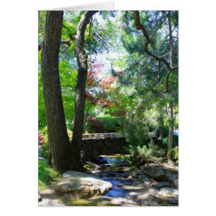 Carte vierge, courant et pont