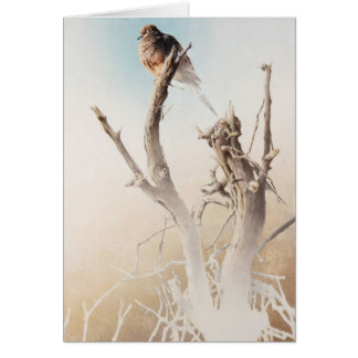 Carte vierge de deuil de colombe par Andrew Denman