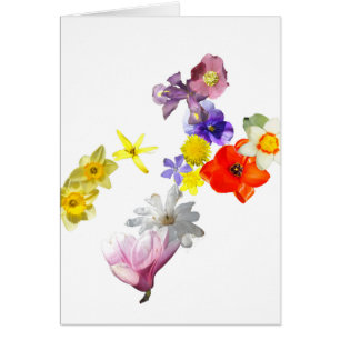 Carte vierge de fleur