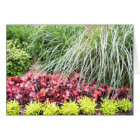 Carte vierge de fleurs vivantes