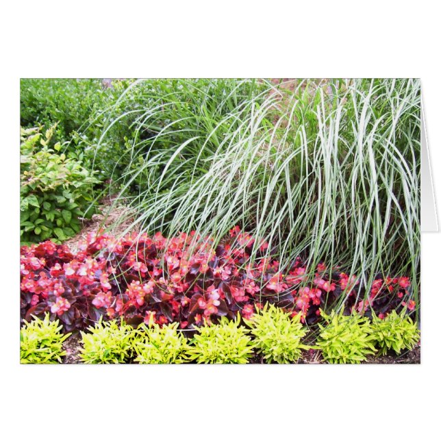 Carte vierge de fleurs vivantes (Devant horizontal)