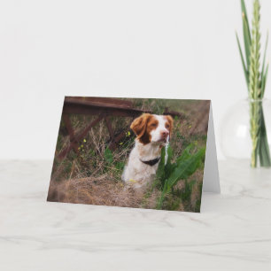 Carte vierge de la Bretagne