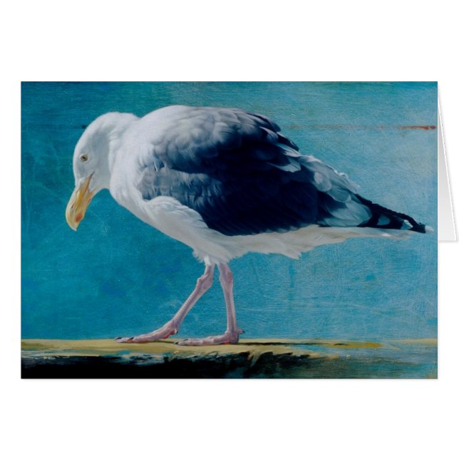 Carte vierge de mouette par Andrew Denman (Devant horizontal)